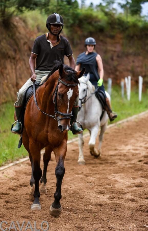 Cavalo Guesthouse & Equestrian Estate Drummond ภายนอก รูปภาพ