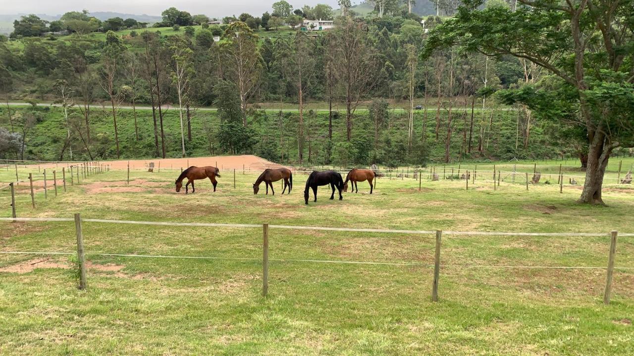 Cavalo Guesthouse & Equestrian Estate Drummond ภายนอก รูปภาพ