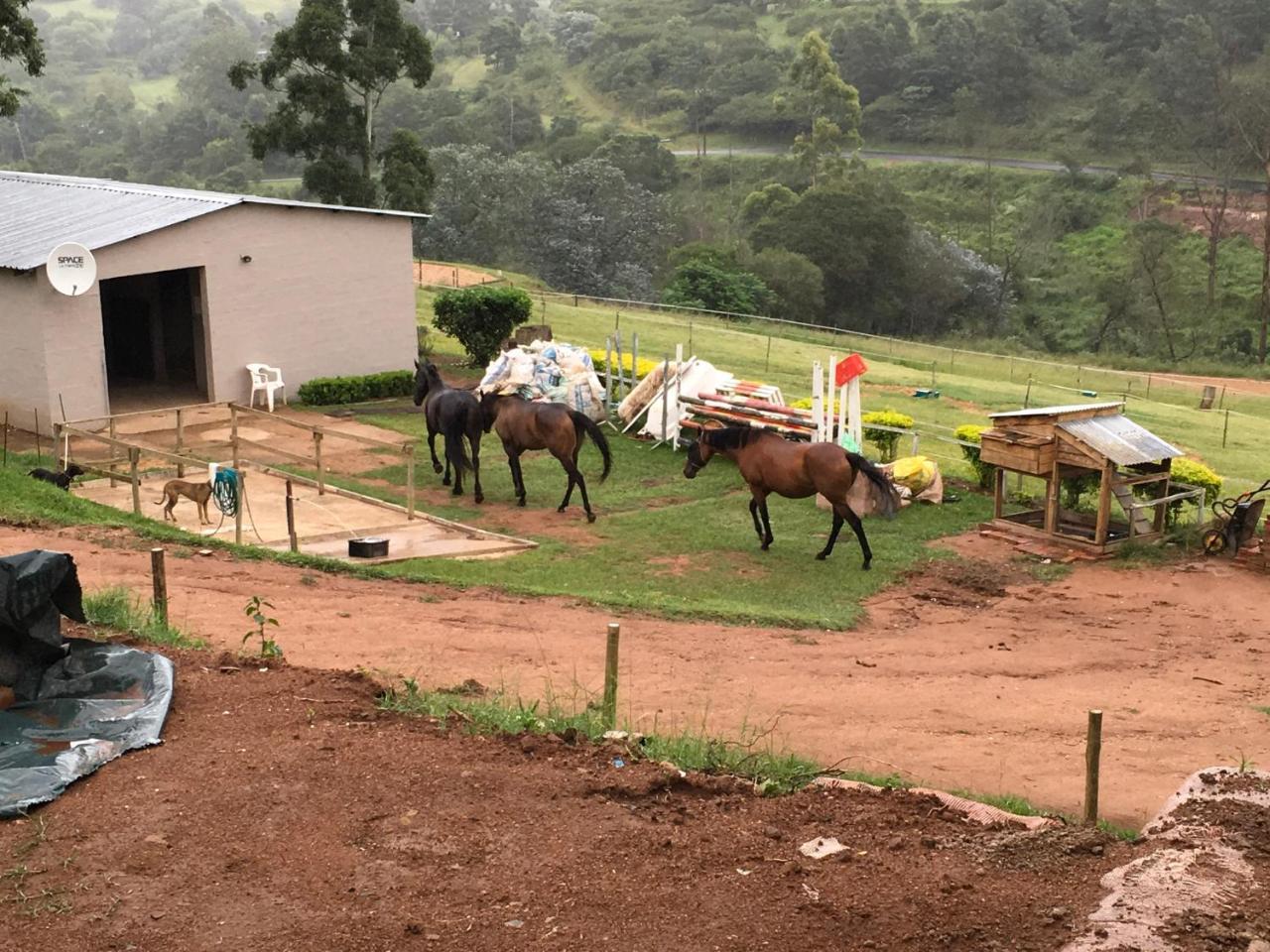 Cavalo Guesthouse & Equestrian Estate Drummond ภายนอก รูปภาพ