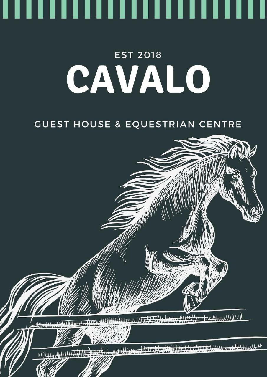Cavalo Guesthouse & Equestrian Estate Drummond ภายนอก รูปภาพ