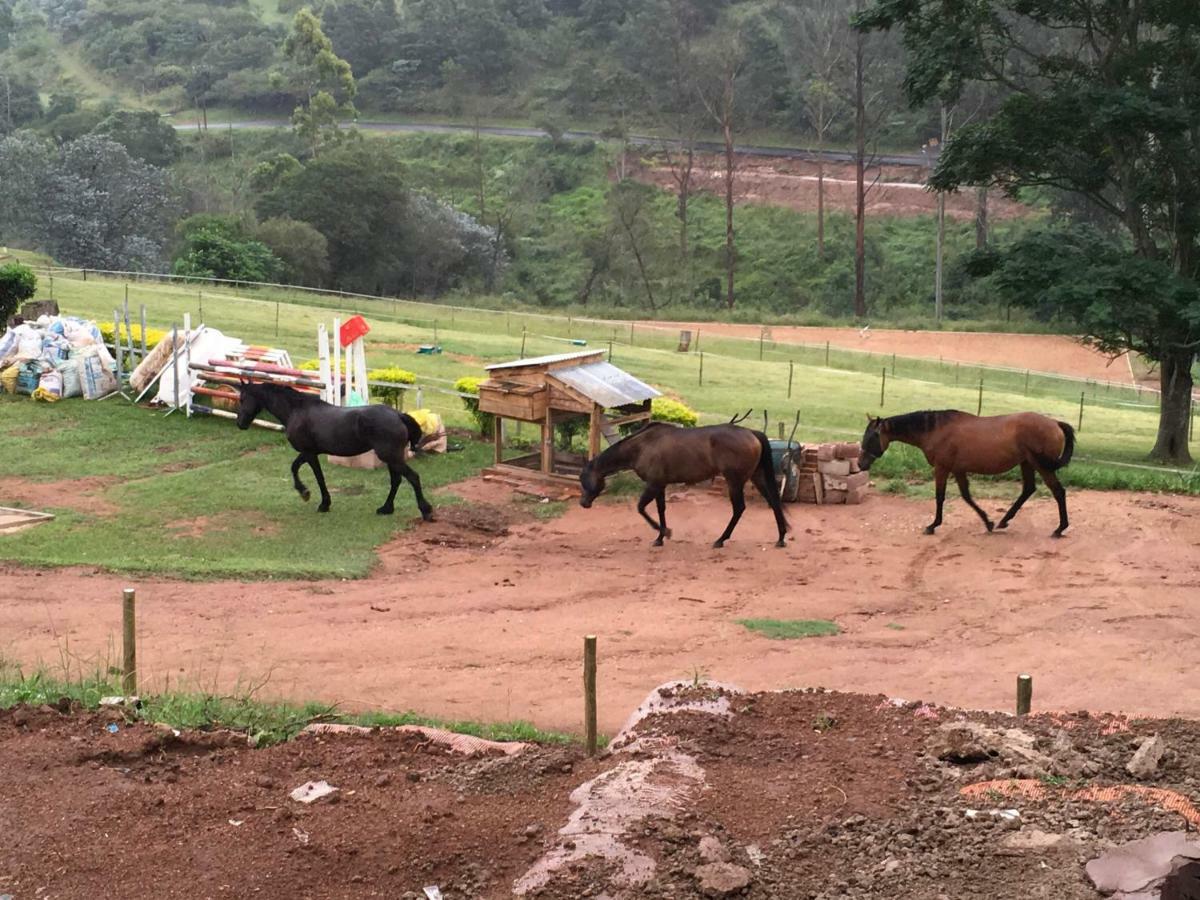 Cavalo Guesthouse & Equestrian Estate Drummond ภายนอก รูปภาพ